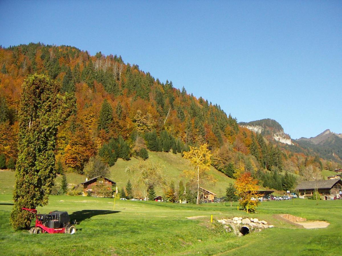 "Chalet Les Aravis" Chalet Et Appartements Le Grand-Bornand Exterior foto